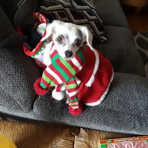 Meet your Posher, Crystal